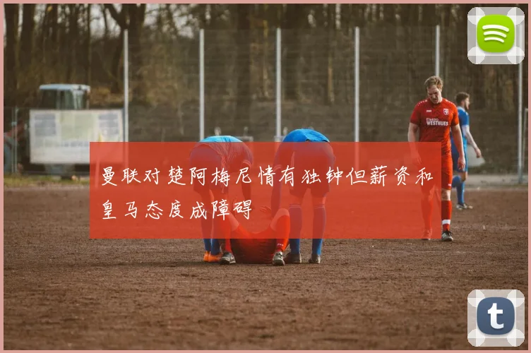 曼联对楚阿梅尼情有独钟但薪资和皇马态度成障碍