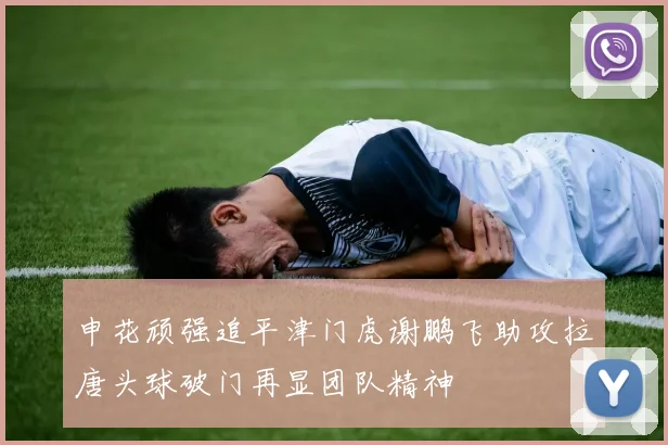 申花顽强追平津门虎谢鹏飞助攻拉唐头球破门再显团队精神